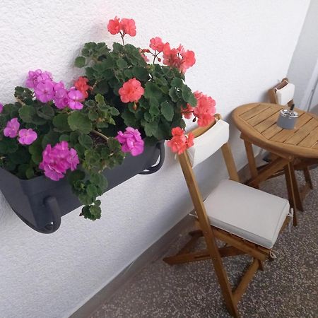 Apartment Danijela Šibenik Exteriér fotografie